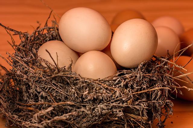 6 oeufs