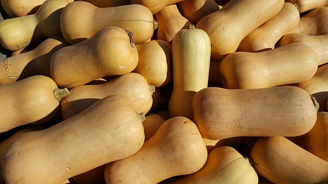Butternut