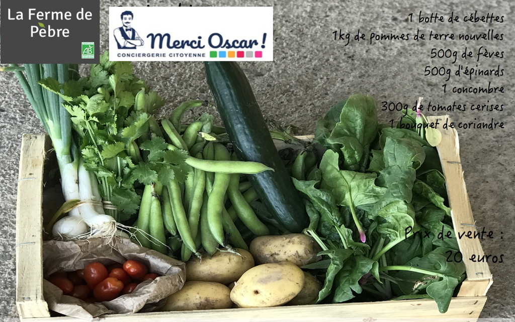 Paniers de fruits et légumes R2 20€