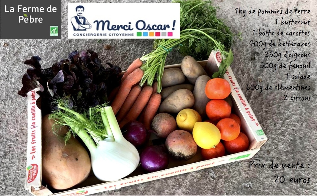 Panier de fruits et légumes Cité des Energies 20€