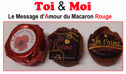 Toi & Moi