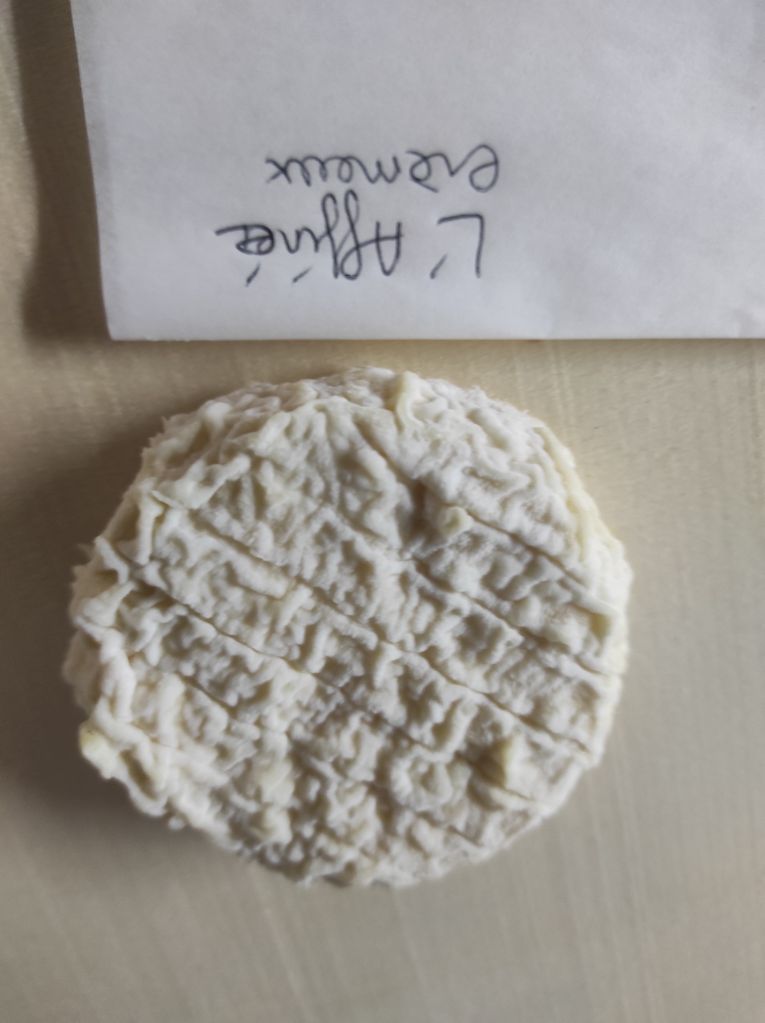 Affiné pur chèvre fromage au lait cru entier 80g Bio crémeux fondant