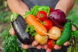 Panier Légumes Bio 4 kilos à 15€