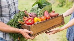 Panier de fruits Bio 3 kilos à 18€