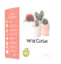 Kit mini Wild Cactus