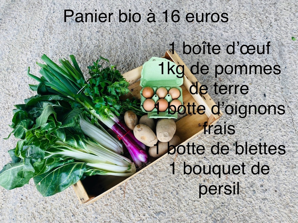 Paniers de fruits et légumes R2 16€