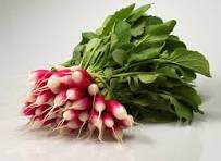 Botte de radis