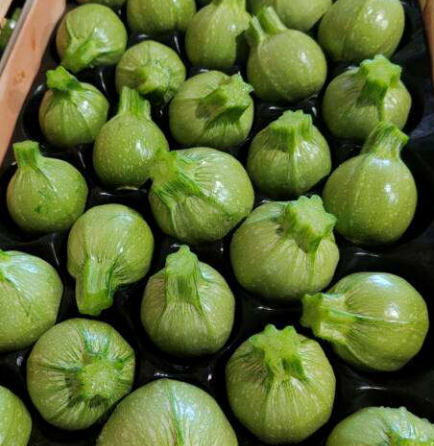 Courgettes Rondes 650g