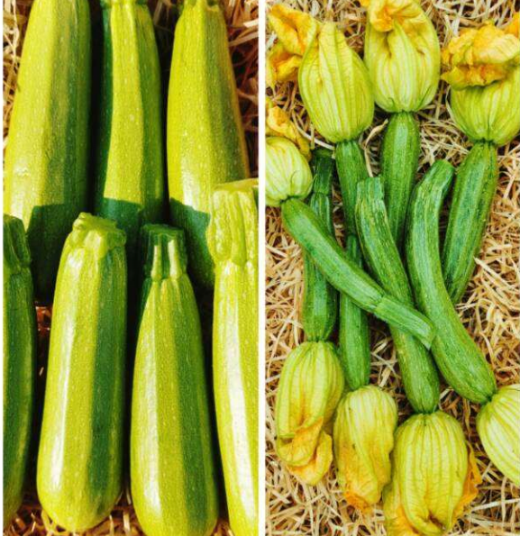 Assortiment courgettes 650g