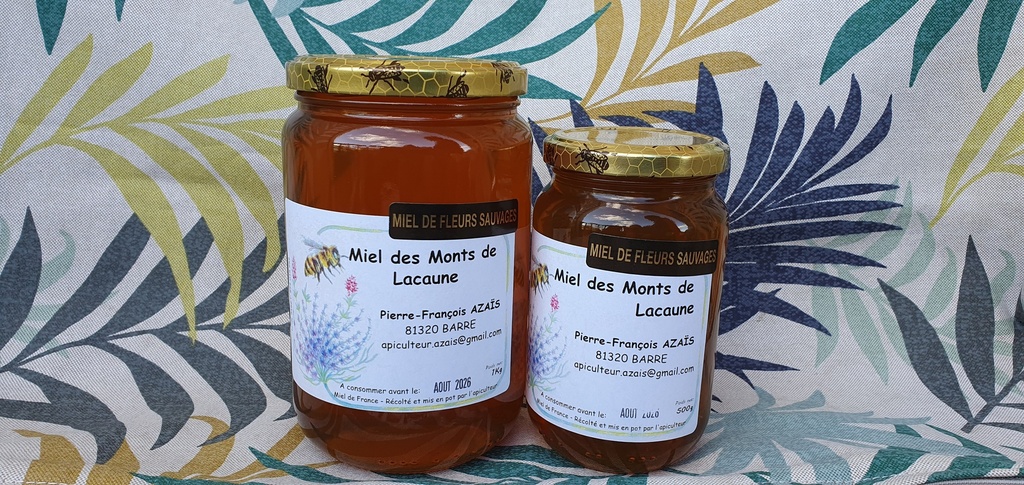 Miel de fleurs sauvage en 500g