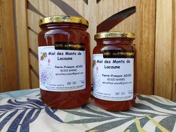 Miel de printemps 250g