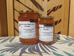 Miel de fleurs en 250