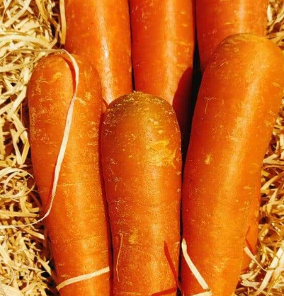 Carottes fanes ou vrac 700g