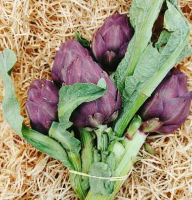 Artichauts violets 3 pces