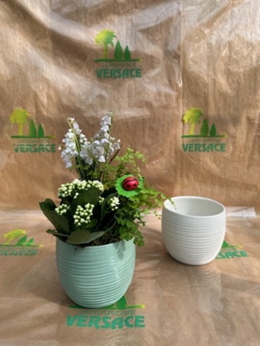 2 Griffes+ Plante Fleurie+ Plante Verte