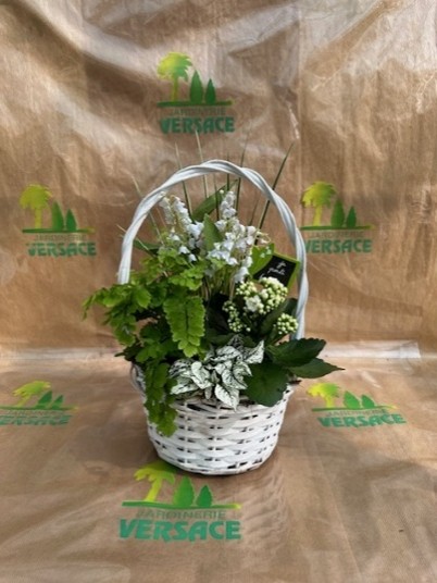 3 Griffes+ Plantes Fleuries+ Plantes Vertes