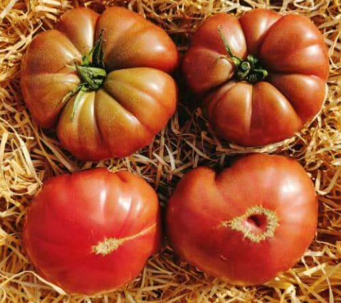 Tomates Noire de Crimée 700g