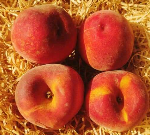 Pêche 3-4 pièces (700g)