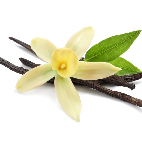 Gamme savoureuse vanille 500ml