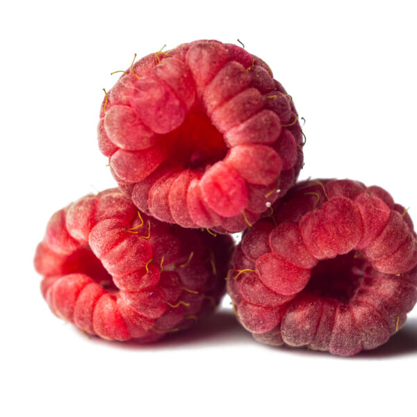 Sorbet framboise 500ml