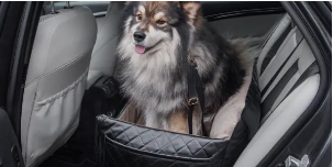 Option Poils de chien ou sable Cl.B