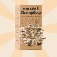 Le kit de culture. Un sac de culture d’environ 800g