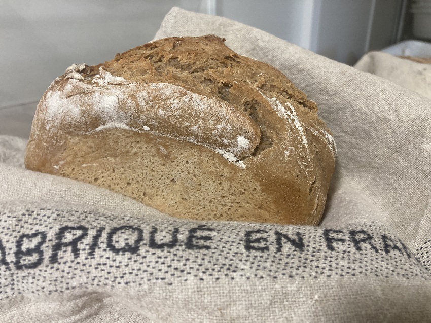 L’Ardéchois moulé (levain de seigle, farine semi complète, farine de châtaigne, noix) 500g