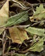 PAÏ MU TAN 'Pivoine Blanche' les 100g