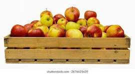 POMME GALA BIO Rouge , fondante, sucrée caisse de 13 kg