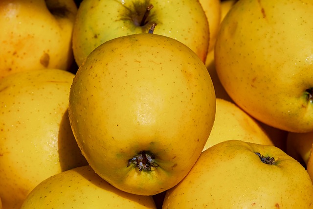 5 Kg pommes Goldrush