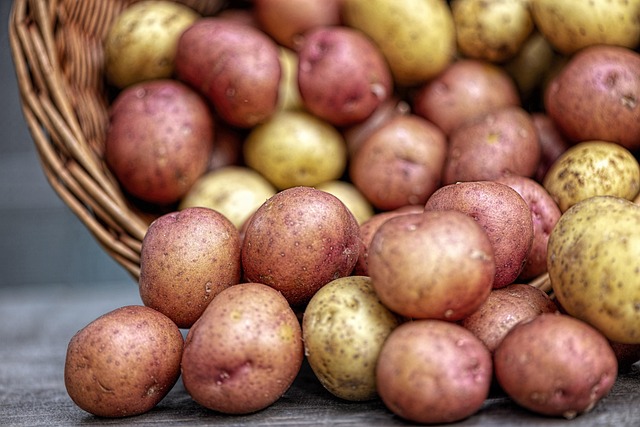 Pommes de terre grenaille rouge