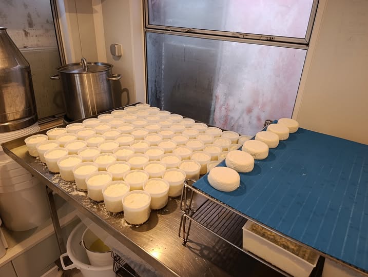 Yaourt brebis 125g les 6 pièces sans consigne