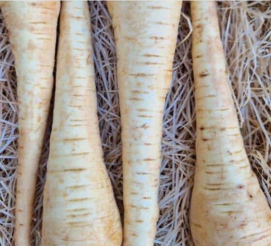 Panais 650g