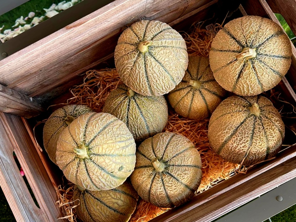 Melon Charentais la pièce
