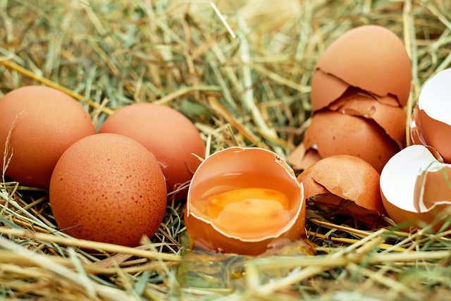 6 oeufs frais