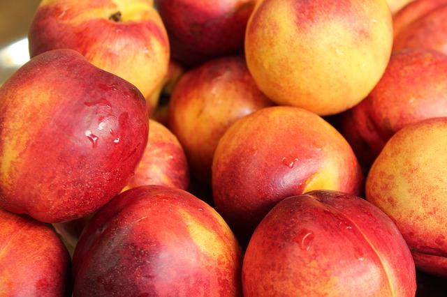 4 Kg de nectarines