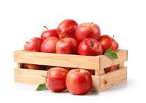 Pommes INOGO le colis de 5 kg