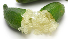 Citron caviar pce 70g