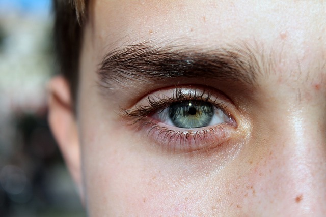 Teinture de cils