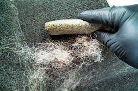 Poils de chien / véhicule sale