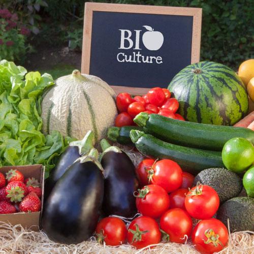 Familial Mixte, Mix Family basket