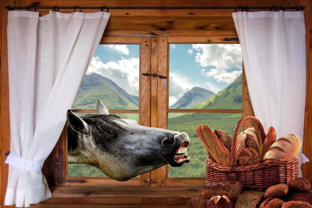 Healing Cream cicatrisante 300ml