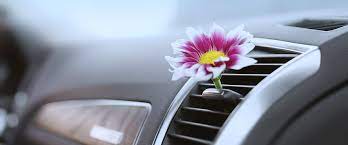 Traitement odeur définitif « Ozone Tech »