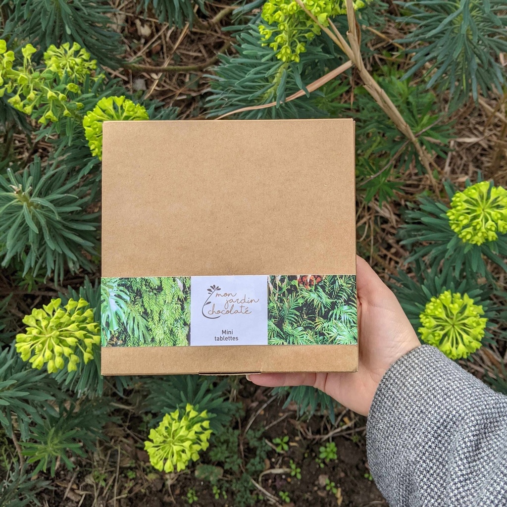 La boîte de 60 mini tablettes