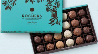 Boite 24 rochers assortis