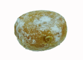 Beignet pomme