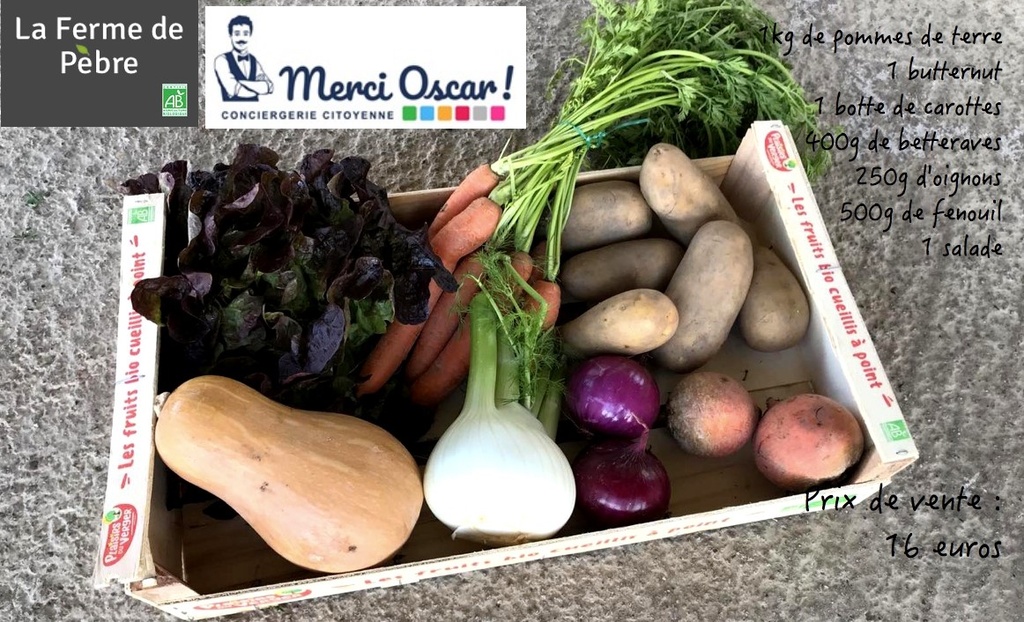 Panier de fruits et légumes Cité des Energies 16€