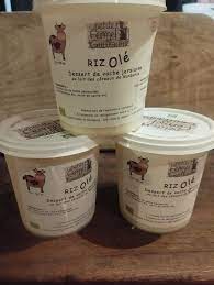 Riz olé lait de vache pasteurisé 400 ml