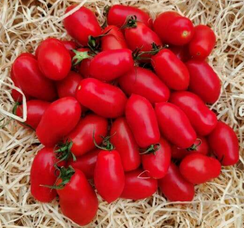 Tomates San Marzano 500g
