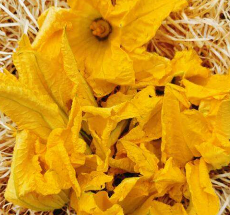 Fleurs de Courgettes (10 pces)